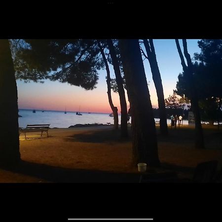 Apartman Sija Novigrad Novigrad  Екстер'єр фото
