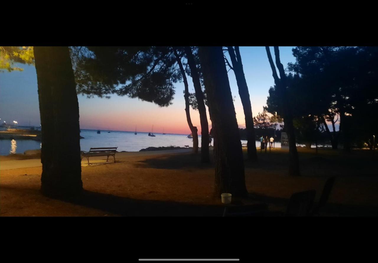 Apartman Sija Novigrad Novigrad  Екстер'єр фото