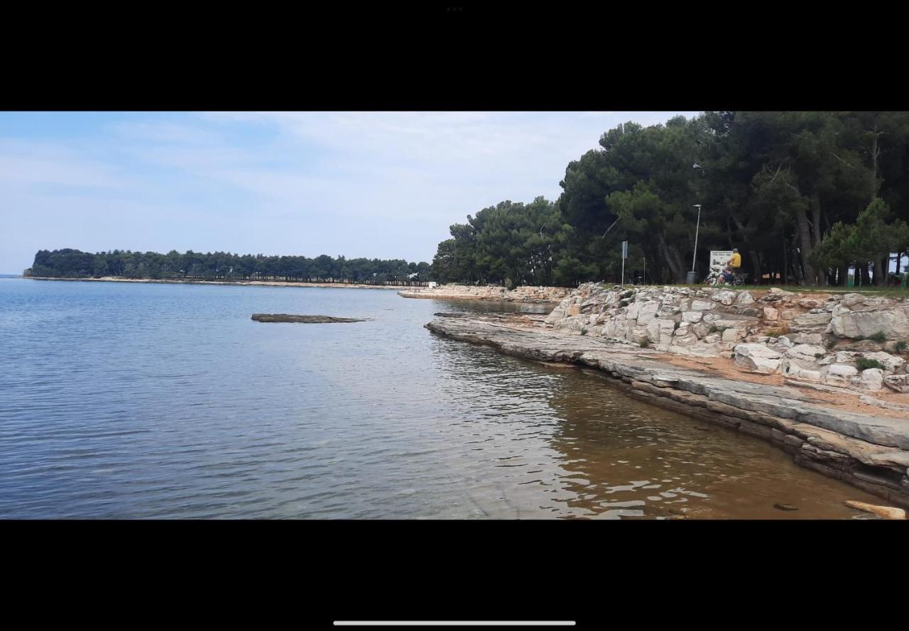 Apartman Sija Novigrad Novigrad  Екстер'єр фото
